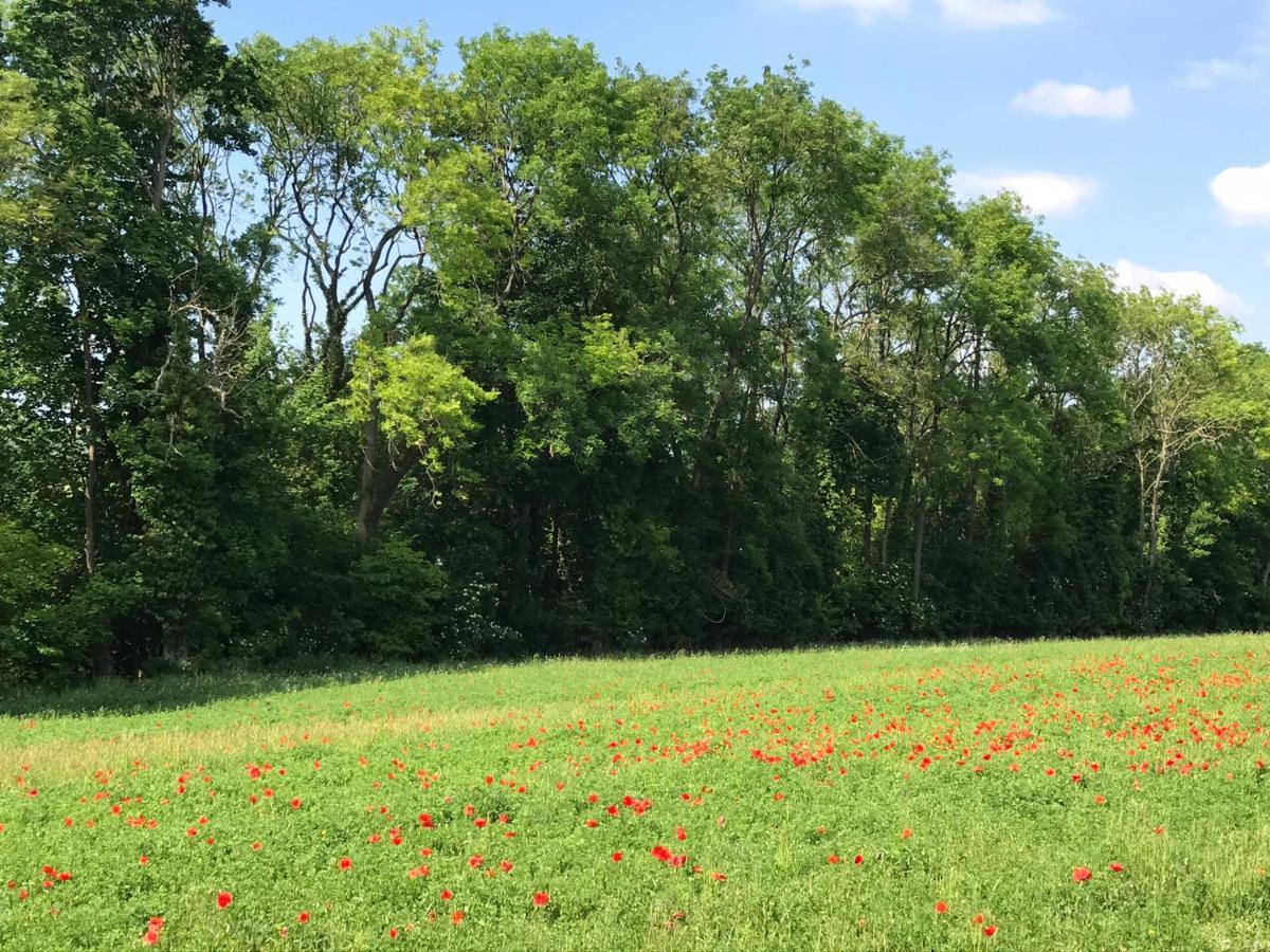 Chambre D'Hotes "Coquelicot" Nurlu Exteriör bild
